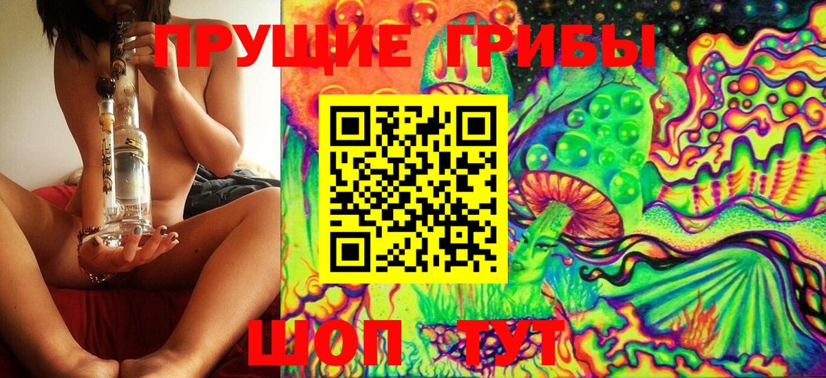 Псилоцибиновые грибы Psilocybine cubensis Ялта